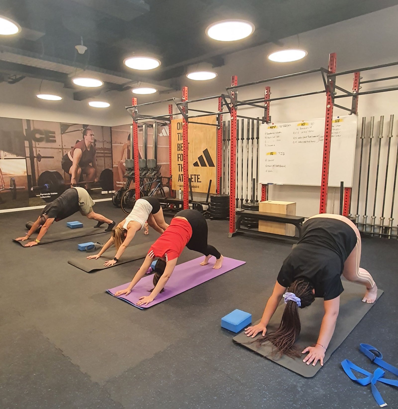 Imagen de una clase de yoga con alumnos haciendo posturas.