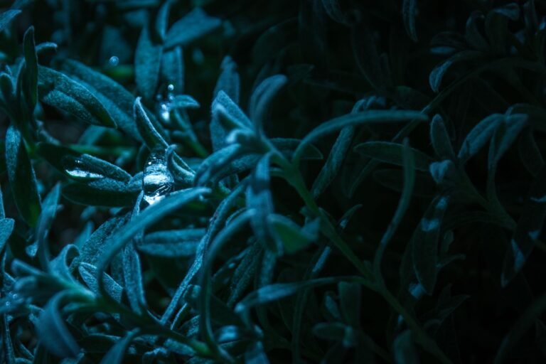Fotografía de una gota en color azulado